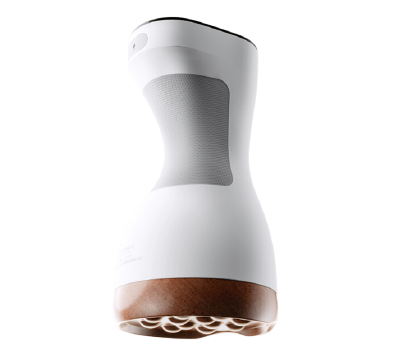 Bian Stone Massager 3rd Generation