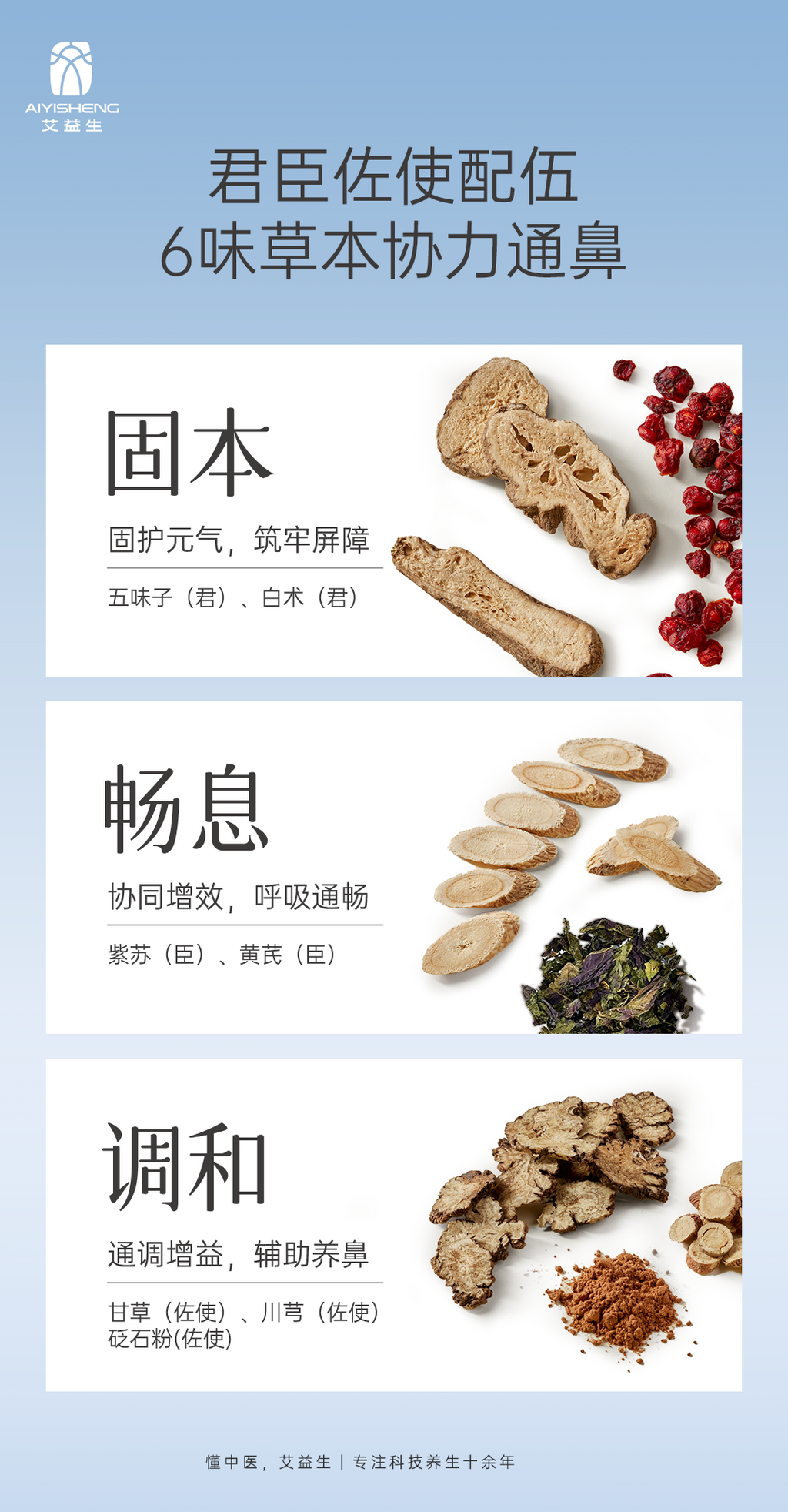 Nasal Herbal Patch 草本鼻舒贴 (3 Boxes)