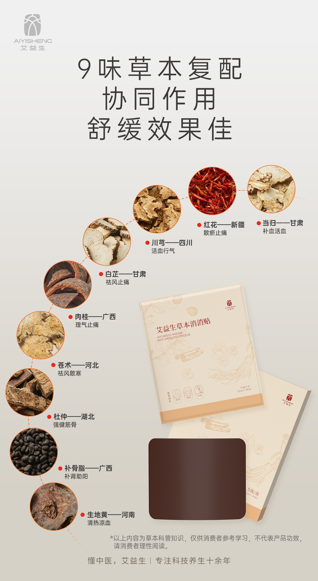 AYS Anti-Swelling Sticker 艾益生草本消消贴 (5PCS)