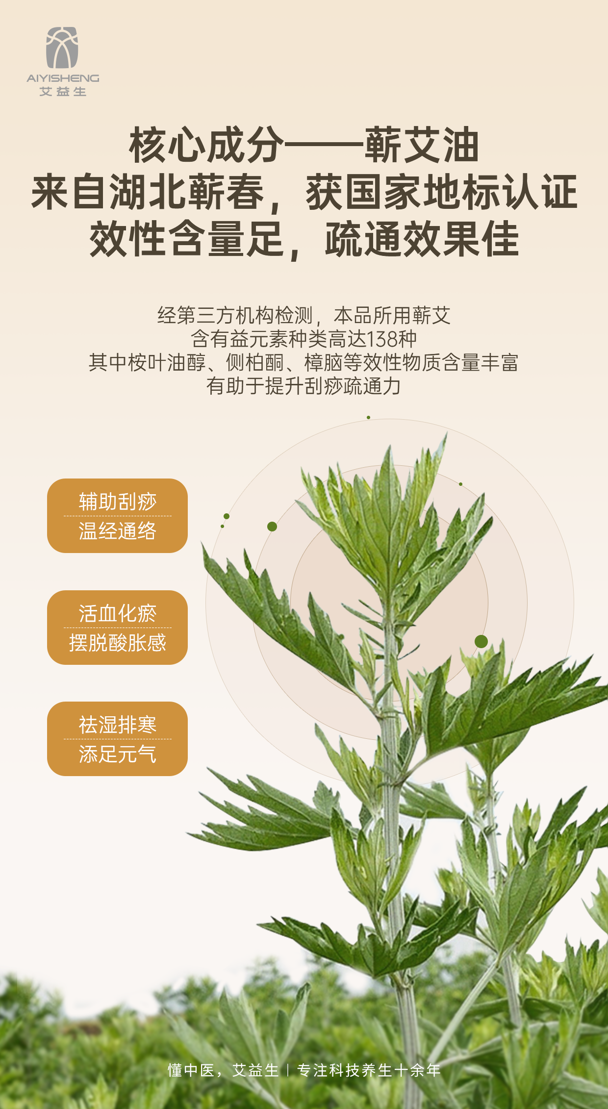 AYS Artemisia Argyi Double-Effect Massage Oil 艾草倍护按摩油
