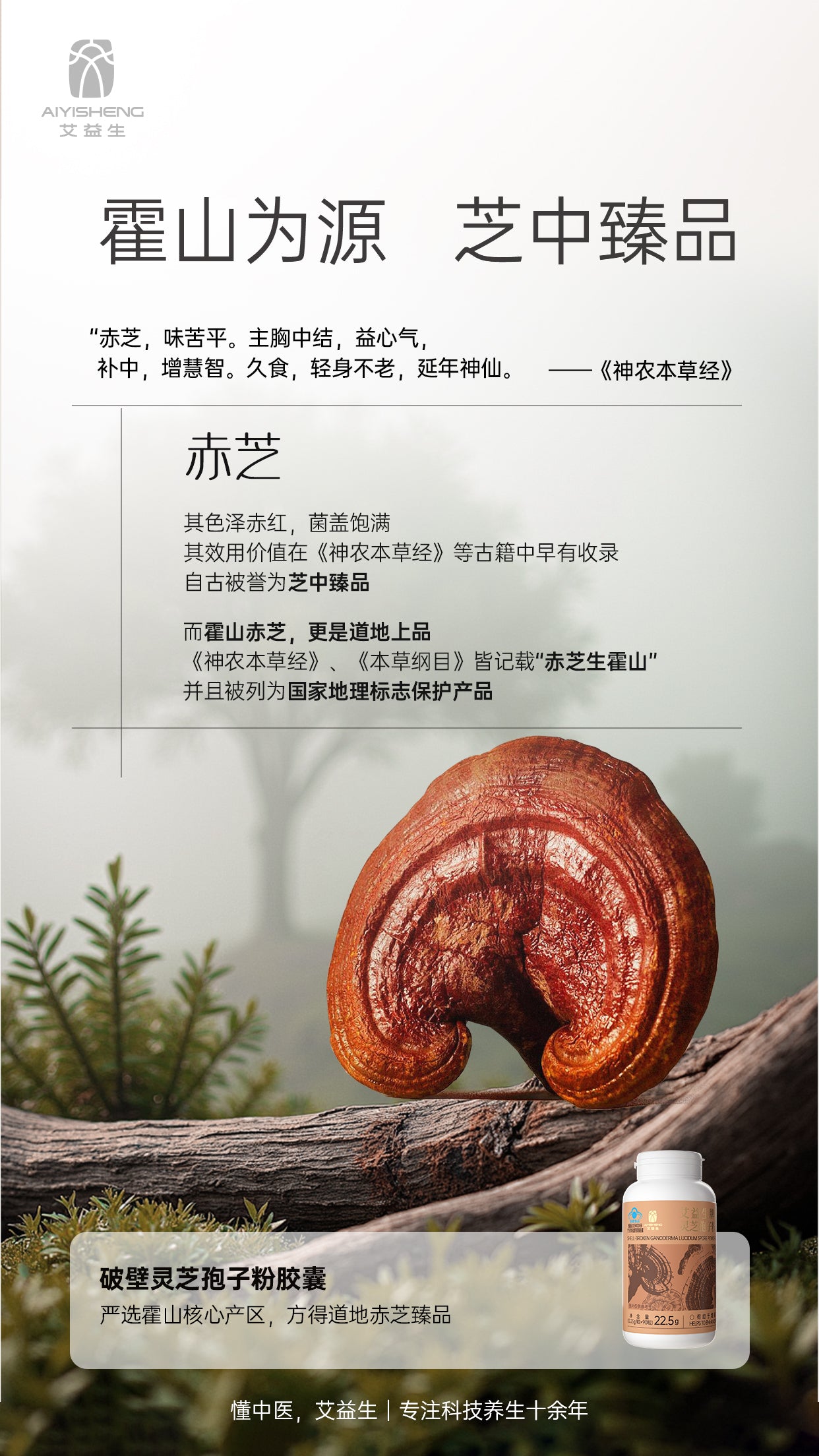 AYS Vegan LingZhi Capsules 純素破壁灵芝孢子粉胶囊