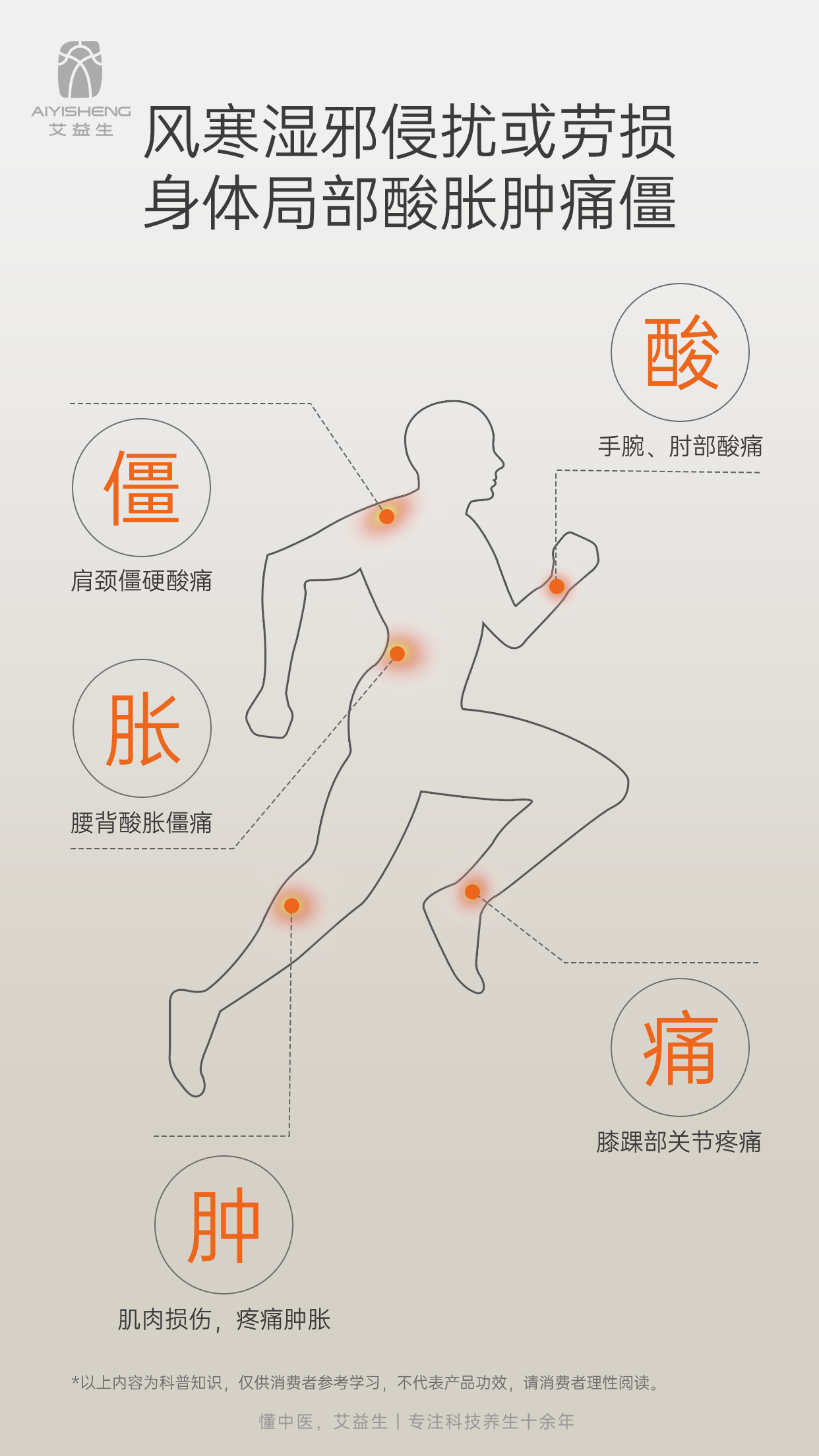 AYS Anti-Swelling Sticker 艾益生草本消消贴 (5PCS)