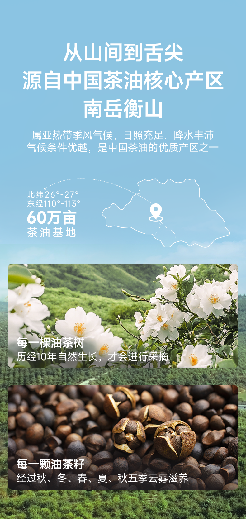 PREORDER: 百岁密码有机山茶油 Organic Camellia Oil