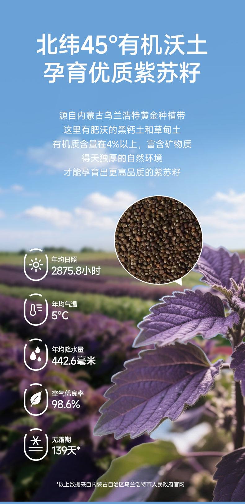 PREORDER: 百岁密码有机紫苏籽油 Organic Perilla Seed Oil